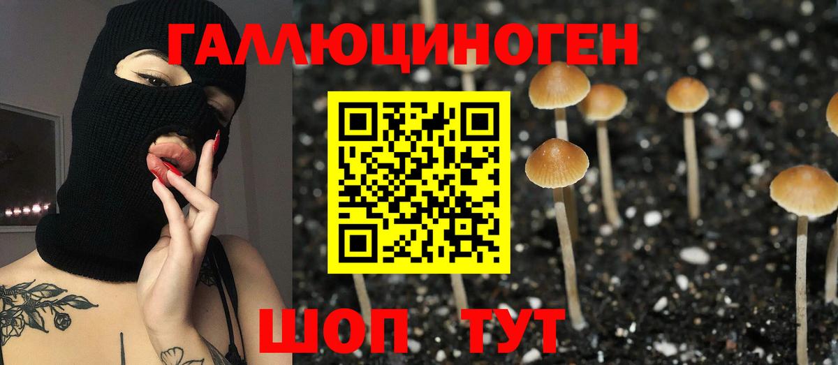 Москва  Вход с VPN  КОКАИН  Меф МЯУ МЯУ кристаллы  Гашиш  Меф МЯУ МЯУ 